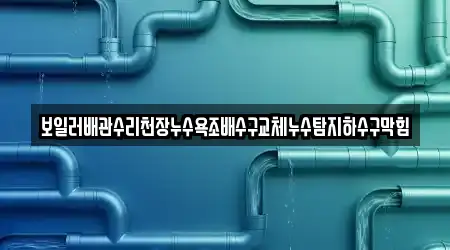 보일러배관수리천장누수욕조배수구교체누수탐지하수구막힘