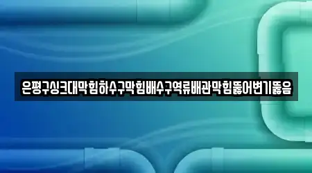 은평구싱크대막힘하수구막힘배수구역류배관막힘뚫어변기뚫음