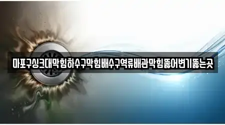 서울 토정동 우수 배관막힘 3건 정보