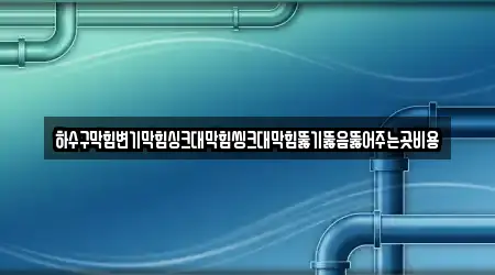하수구막힘변기막힘싱크대막힘씽크대막힘뚫기뚫음뚫어주는곳비용