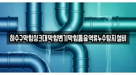하수구막힘싱크대막힘변기막힘뚫음역류누수탐지설비