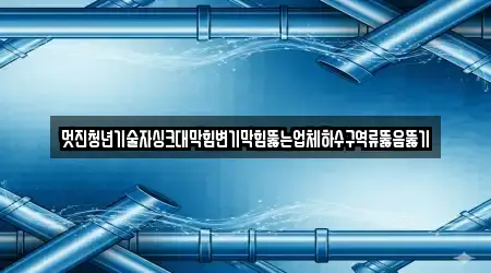 멋진청년기술자싱크대막힘변기막힘뚫는업체하수구역류뚫음뚫기