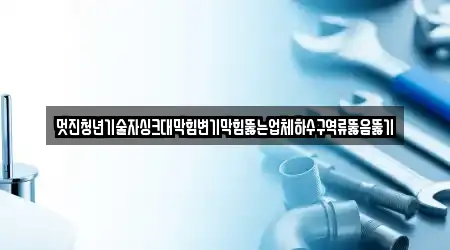 멋진청년기술자싱크대막힘변기막힘뚫는업체하수구역류뚫음뚫기