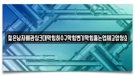 젊은남자배관싱크대막힘하수구막힘변기막힘뚫는업체고압청소
