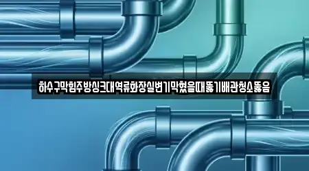 하수구막힘주방싱크대역류화장실변기막혔을때뚫기배관청소뚫음