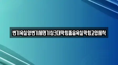 변기욕실양변기세면기싱크대막힘뚫음욕실막힘고압세척