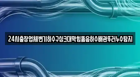 24시출장업체변기하수구싱크대막힘뚫음하수배관뚜러누수탐지