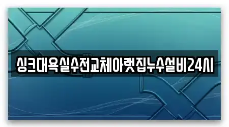 싱크대욕실수전교체아랫집누수설비24시