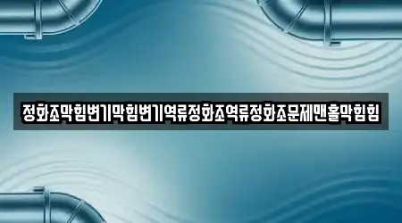 정화조막힘변기막힘변기역류정화조역류정화조문제맨홀막힘힘
