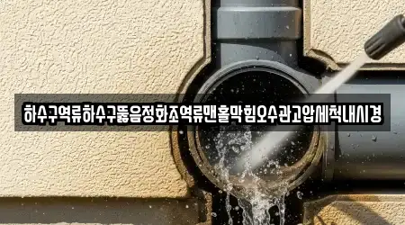 하수구역류하수구뚫음정화조역류맨홀막힘오수관고압세척내시경