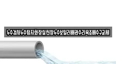 누수검사누수탐지화장실천장누수보일러배관수리욕조배수구교체