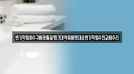 변기막힘하수구배관뚫음씽크대역류세면대소변기막힘수전교체수리
