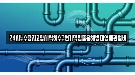 24시누수탐지고압세척하수구변기막힘뚫음해빙대영배관설비