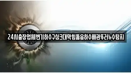 24시출장업체변기하수구싱크대막힘뚫음하수배관뚜러누수탐지