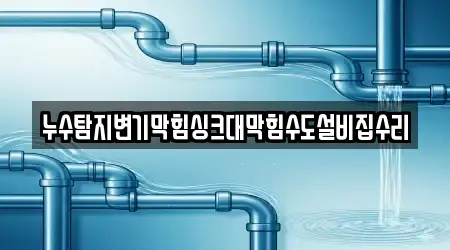누수탐지변기막힘싱크대막힘수도설비집수리