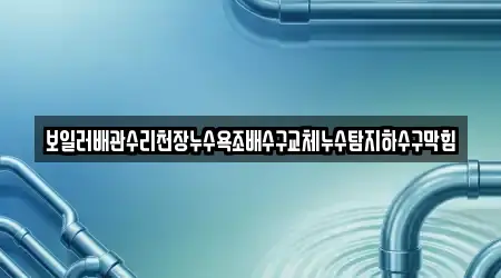 보일러배관수리천장누수욕조배수구교체누수탐지하수구막힘