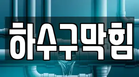 하수구막힘