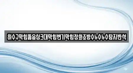 하수구막힘뚫음싱크대막힘변기막힘정화조방수누수누수탐지반석