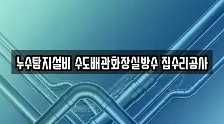 누수탐지설비 수도배관화장실방수 집수리공사