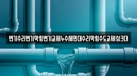 변기수리변기막힘변기교체누수세면대수리막힘수도교체싱크대