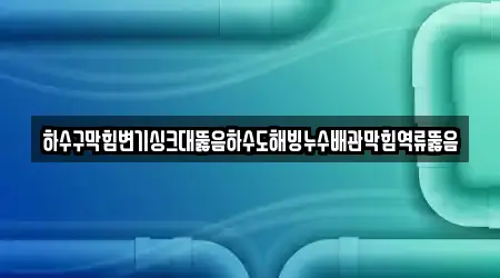 하수구막힘변기싱크대뚫음하수도해빙누수배관막힘역류뚫음