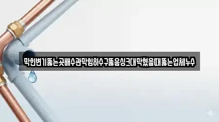 막힌변기뚫는곳배수관막힘하수구뚫음싱크대막혔을때뚫는업체누수
