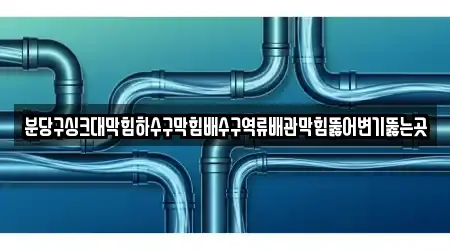 분당구싱크대막힘하수구막힘배수구역류배관막힘뚫어변기뚫는곳