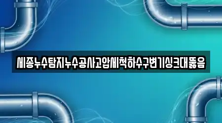 세종누수탐지누수공사고압세척하수구변기싱크대뚫음