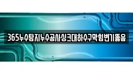 365누수탐지누수공사싱크대하수구막힘변기뚫음