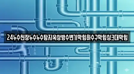 24누수천장누수누수탐지옥상방수변기막힘하수구막힘싱크대막힘