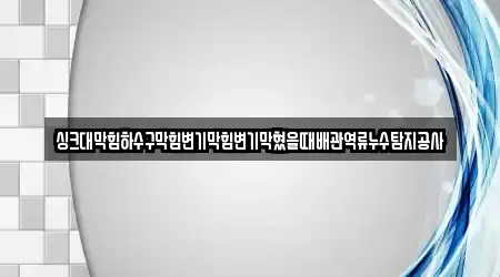 싱크대막힘하수구막힘변기막힘변기막혔을때배관역류누수탐지공사