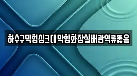 하수구막힘싱크대막힘화장실배관역류뚫음