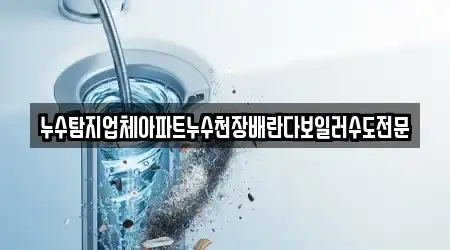 누수탐지업체아파트누수천장배란다보일러수도전문