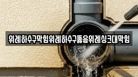 위례하수구막힘위례하수구뚫음위례싱크대막힘