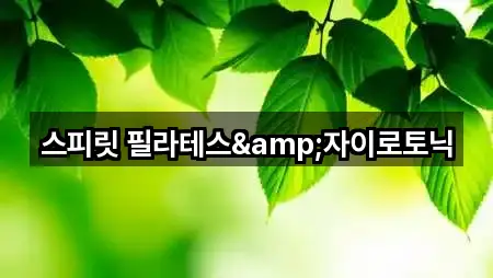 스피릿 필라테스&자이로토닉