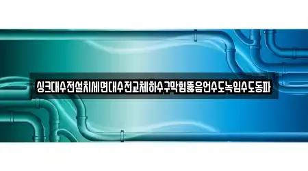 싱크대수전설치세면대수전교체하수구막힘뚫음언수도녹임수도동파