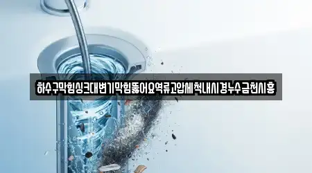 하수구막힘싱크대변기막힘뚫어요역류고압세척내시경누수금천시흥