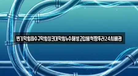 변기막힘하수구막힘싱크대막힘누수해빙고압세척짱뚜러24시배관