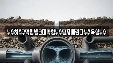 누수하수구막힘씽크대막힘누수탐지베란다누수욕실누수