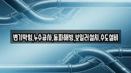 변기막힘,누수공사,동파해빙,보일러설치,수도설비