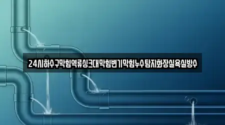 24시하수구막힘역류싱크대막힘변기막힘누수탐지화장실욕실방수