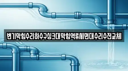 변기막힘수리하수구싱크대막힘역류세면대수리수전교체