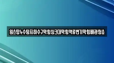양지면 6 하수구막힘 업체검색