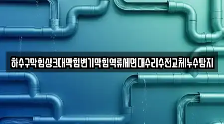 하수구막힘싱크대막힘변기막힘역류세면대수리수전교체누수탐지