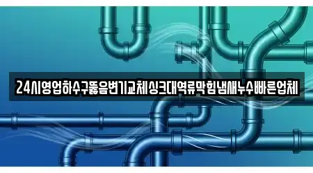 24시영업하수구뚫음변기교체싱크대역류막힘냄새누수빠른업체