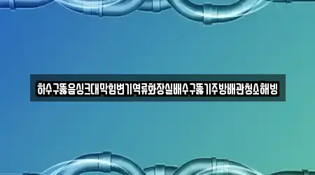 하수구뚫음싱크대막힘변기역류화장실배수구뚫기주방배관청소해빙