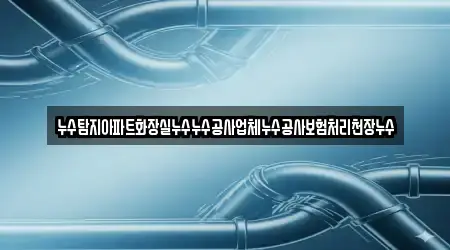 누수탐지아파트화장실누수누수공사업체누수공사보험처리천장누수