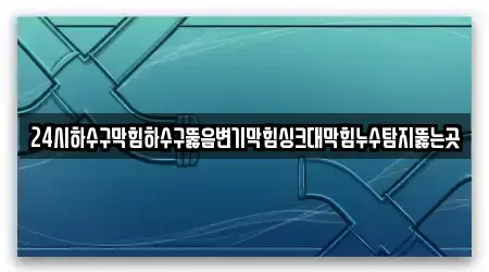 24시하수구막힘하수구뚫음변기막힘싱크대막힘누수탐지뚫는곳