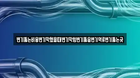 변기뚫는비용변기막혔을때변기막힘변기뚫음변기역류변기뚫는곳