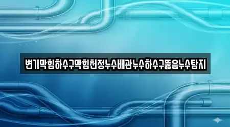 변기막힘하수구막힘천정누수배관누수하수구뚫음누수탐지